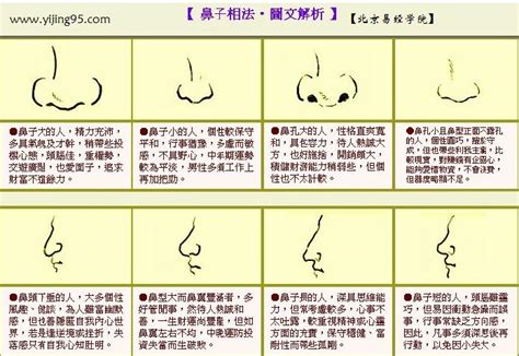 鼻子大 面相|鼻头大面相 鼻头大面相好不好